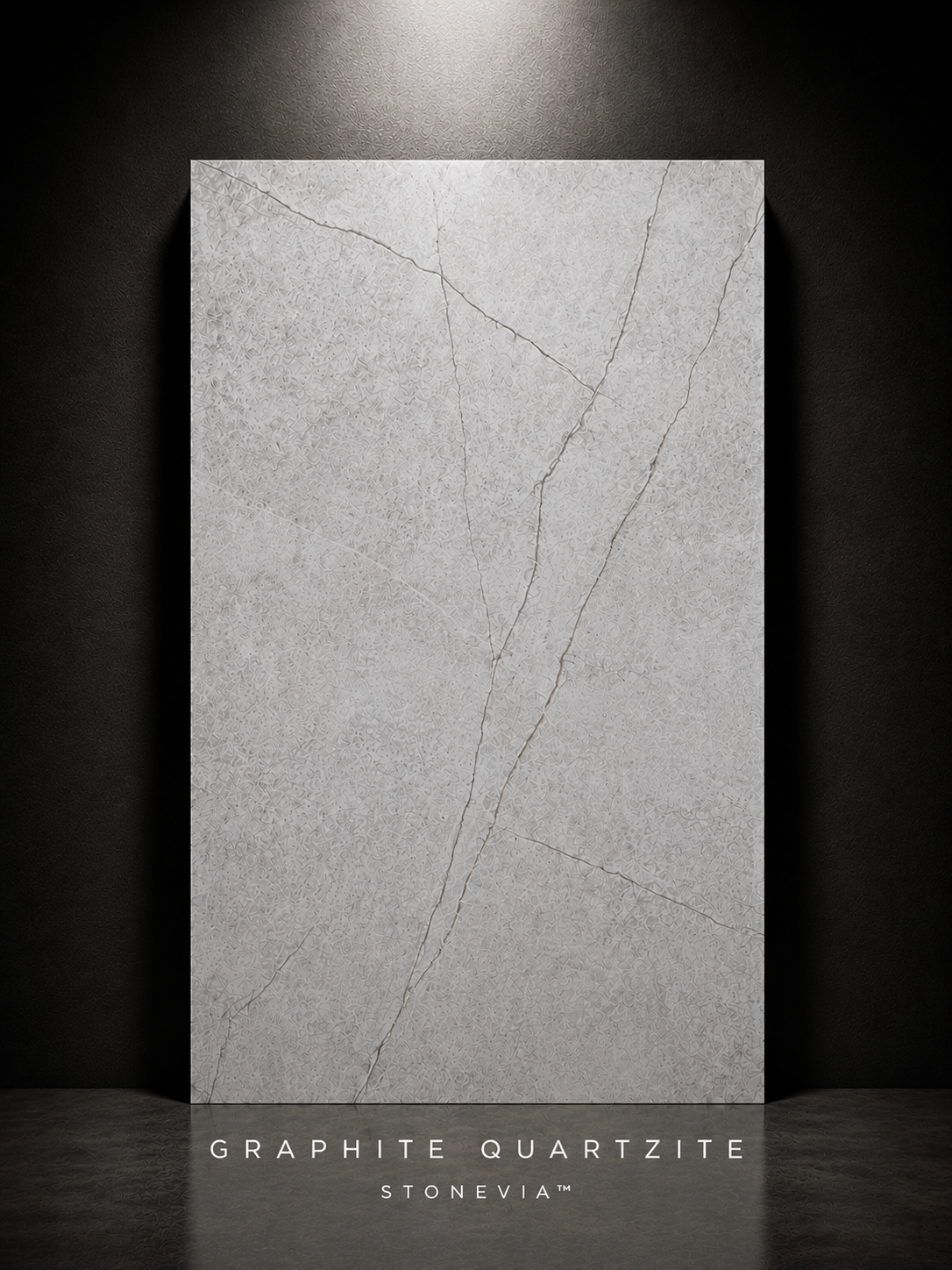 STONEVIA™ Graphite Quartzite | Dark Grey Stone Effect Panel