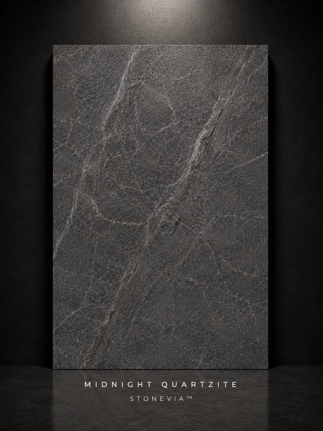 STONEVIA™ Midnight Quartzite | Black Quartzite Architectural Surface