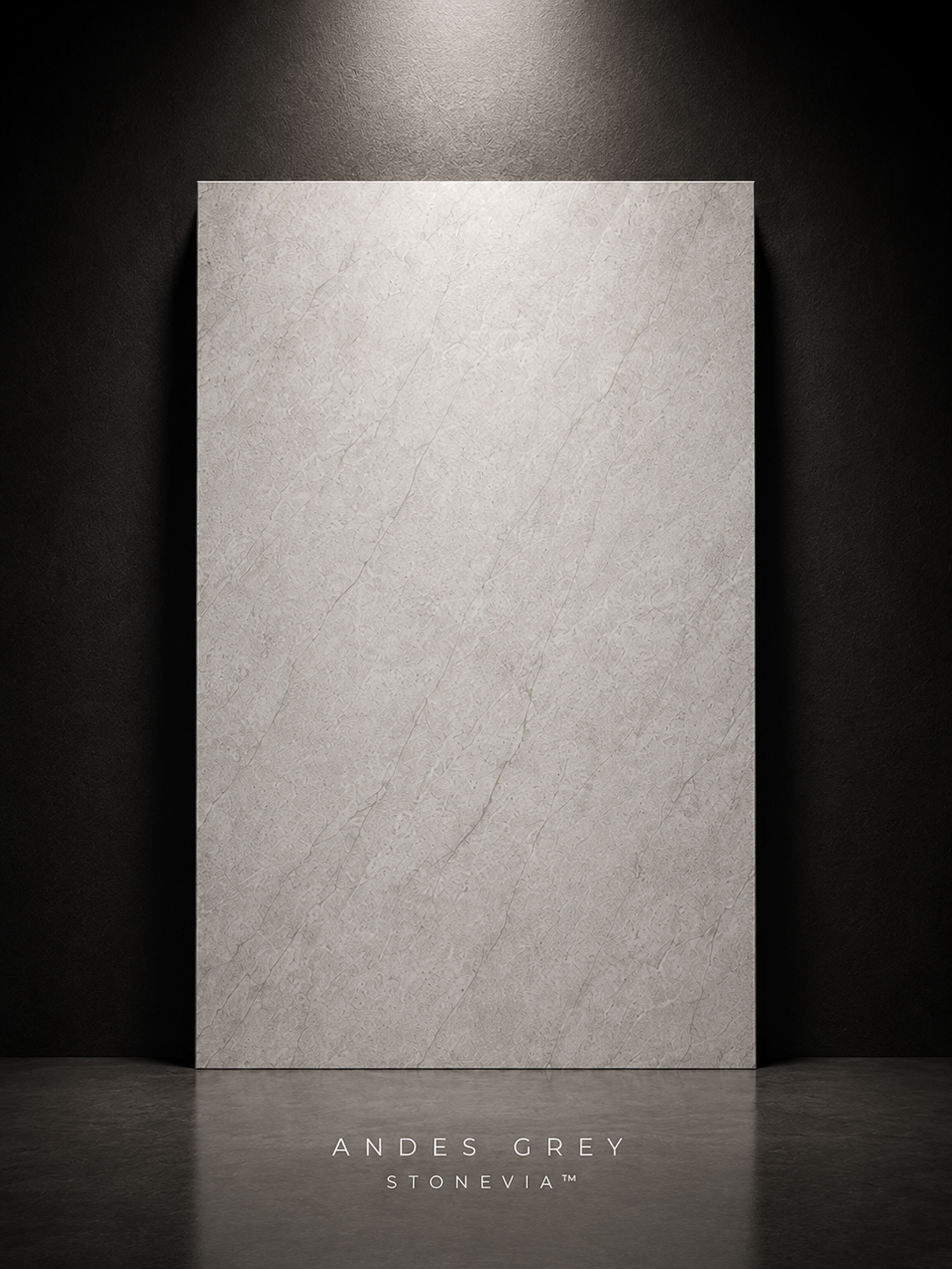 STONEVIA™ Andes Quartzite | Grey Quartzite Flexible Stone Pane